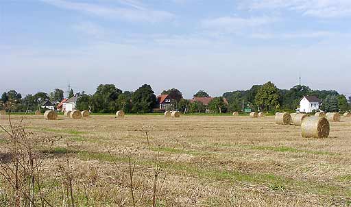 Brdeansicht in Ostnnerlinde am 19.09.2001